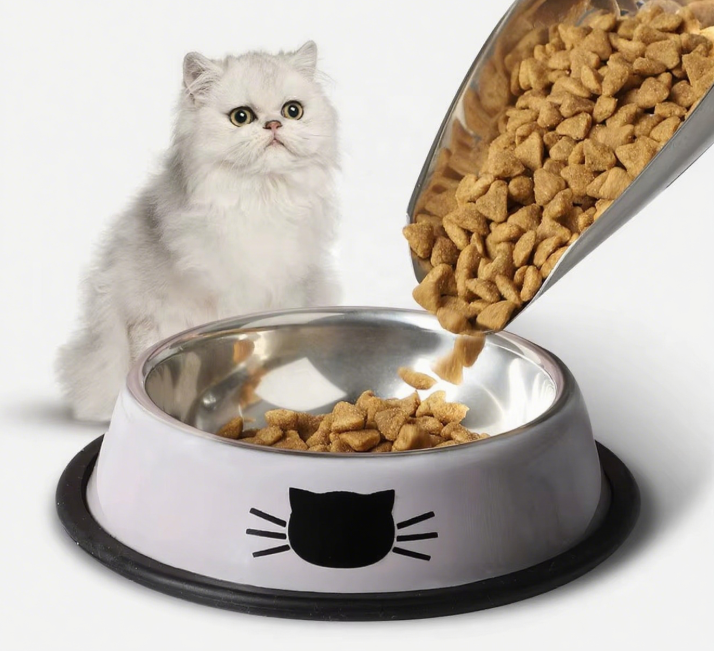 Pet Products Stainless Steel 201 Cat Feed Food Bowl 15cm 5.91inch Silicone Ring Base Feeding Bowl for Cat and Puppy Dog Bowls