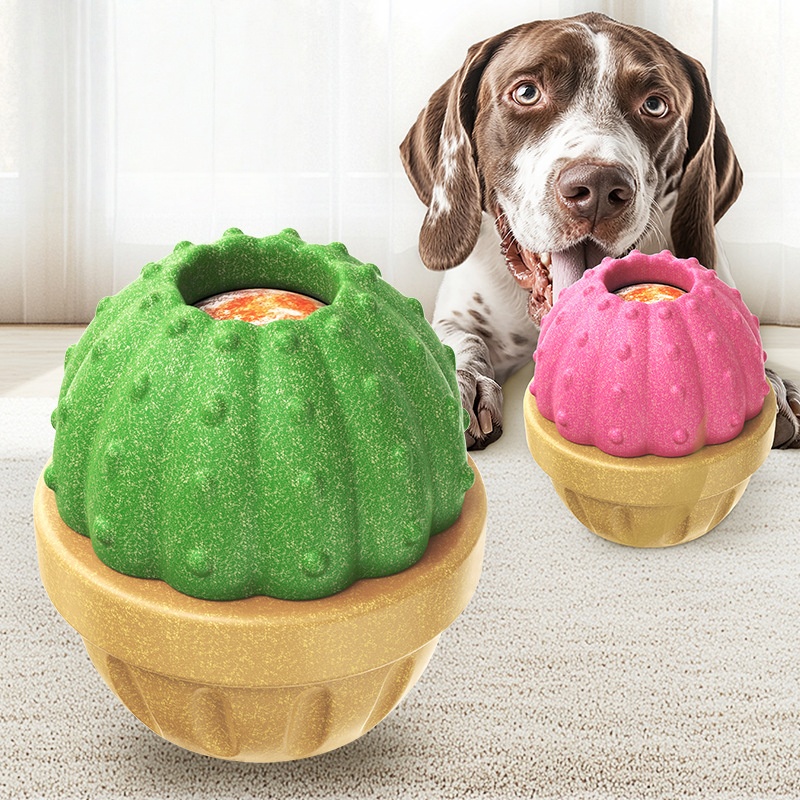 Pet wet food spill Frozen cactus toy - الصورة 3
