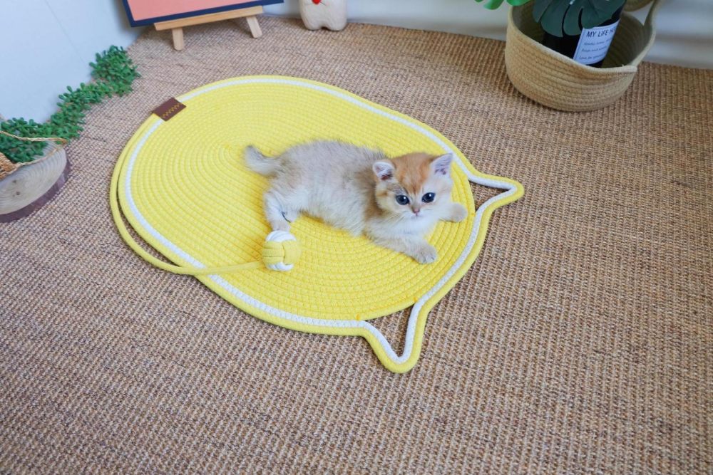 Handwoven Cat Mat - Machine Washable Pet Bed, Anti-Scratch & Durable for All Seasons - Image 3