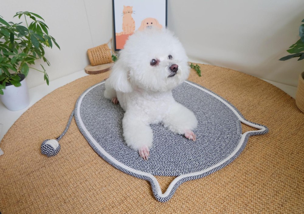 Handwoven Cat Mat - Machine Washable Pet Bed, Anti-Scratch & Durable for All Seasons - Image 4
