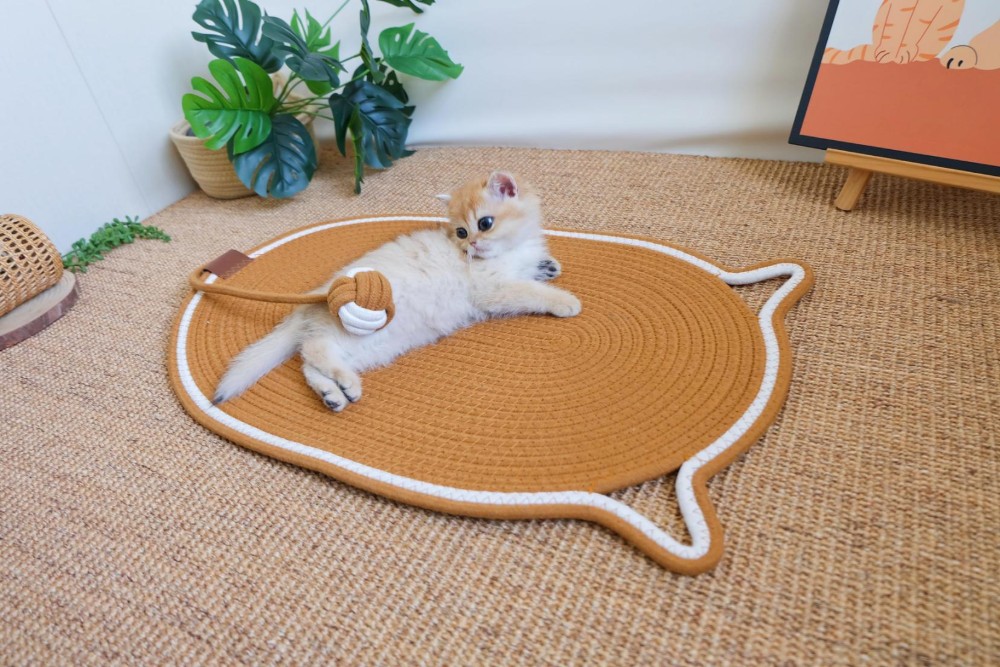 Handwoven Cat Mat - Machine Washable Pet Bed, Anti-Scratch & Durable for All Seasons - Image 5