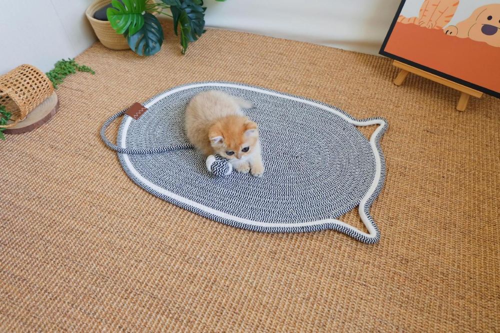 Handwoven Cat Mat - Machine Washable Pet Bed, Anti-Scratch & Durable for All Seasons - Image 6